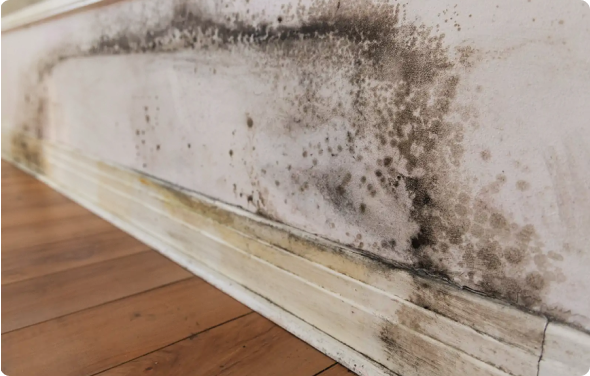 Crawl Space Repair